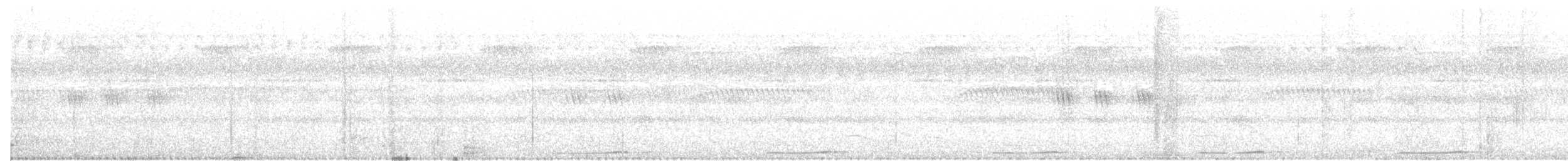 Сова-голконіг далекосхідна - ML55814521