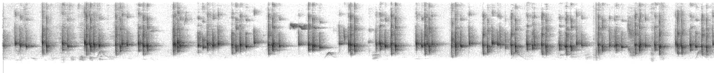 hvitbryststammeløper - ML558147551