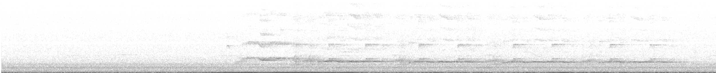 Gray Butcherbird - ML558259301