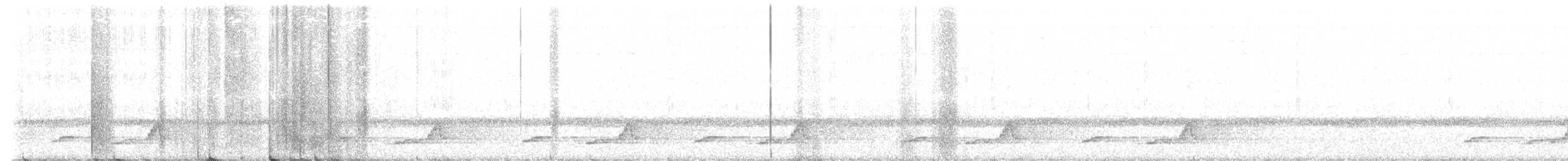 Eastern Whip-poor-will - ML558295351