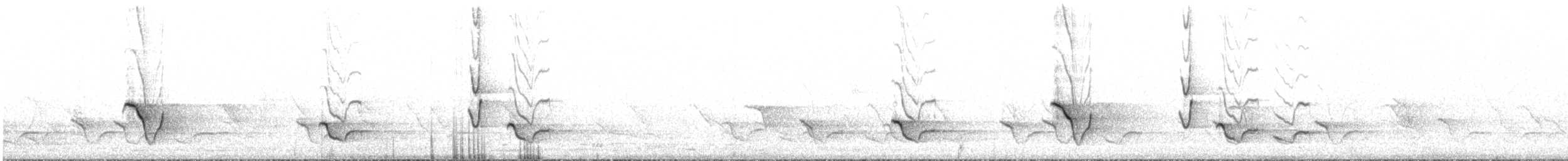 White-plumed Honeyeater - ML558323891