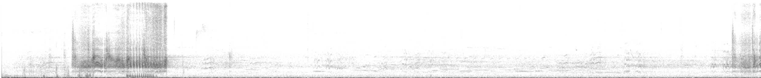 White-browed Babbler - ML558357211