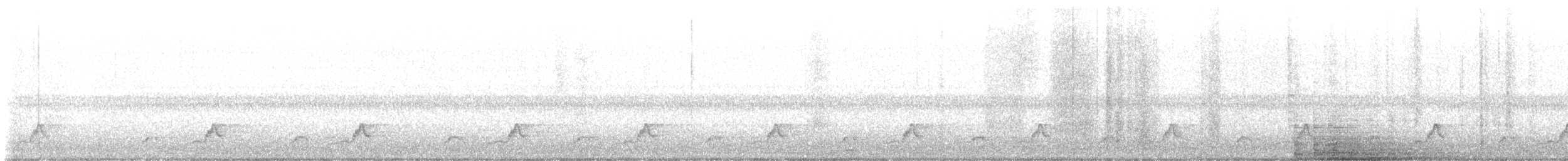 Schwarzkehl-Nachtschwalbe - ML558444041