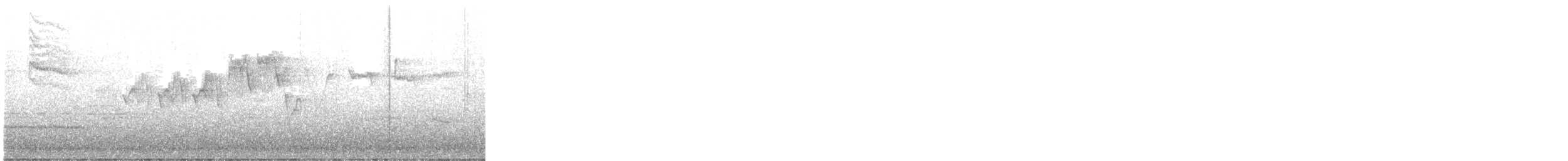 Northern Parula - ML558451931