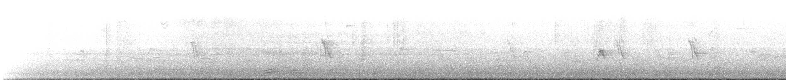 Белокрылая горлица - ML55847011