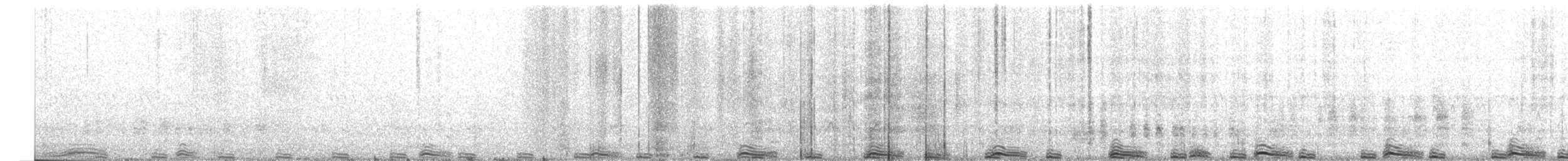 Berta di Bulwer - ML558472261