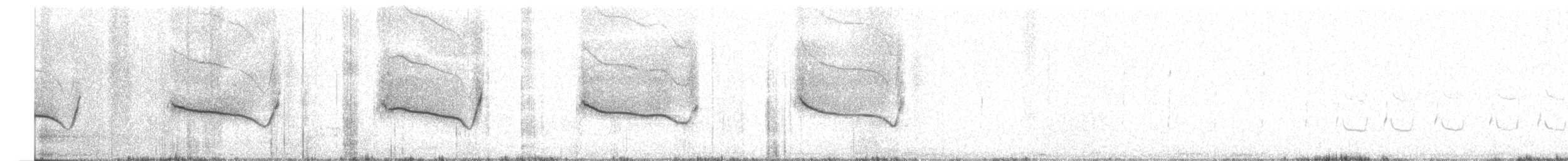 Breitspiegel-Nachtschwalbe - ML558475651