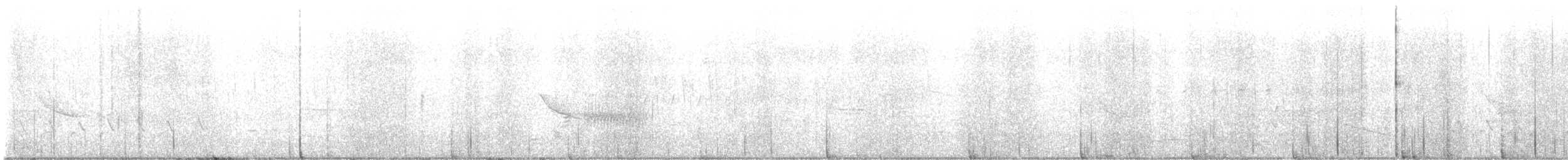 Troglodyte des marais - ML558477121