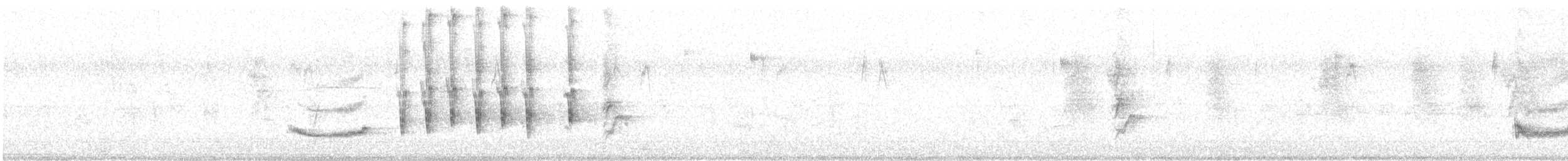 Chalk-browed Mockingbird - ML558480281