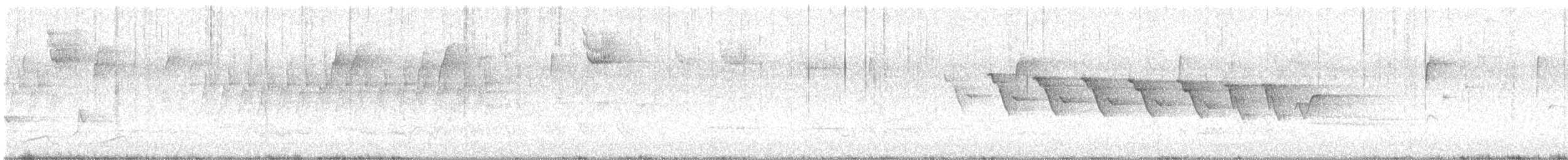 Yellow-throated Warbler - ML558480981