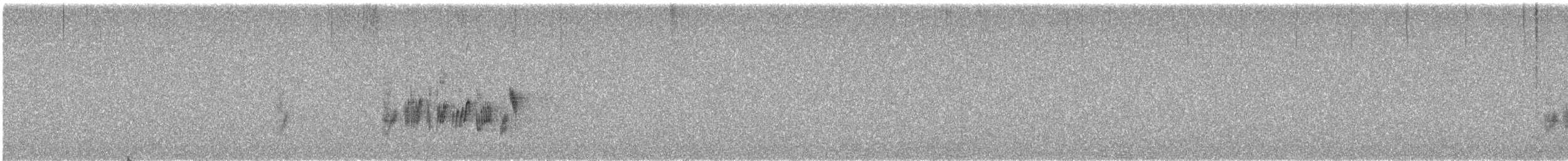 Traquet noir et blanc - ML558484931