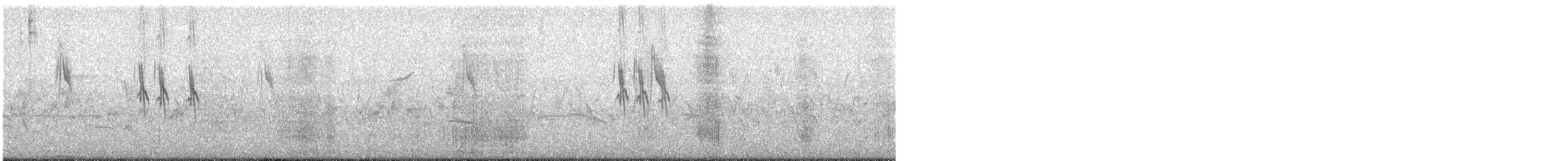 Paddyfield Pipit - ML558486291