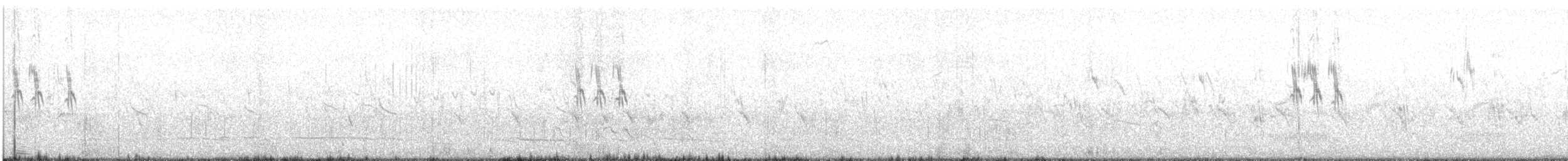 Paddyfield Pipit - ML558486301