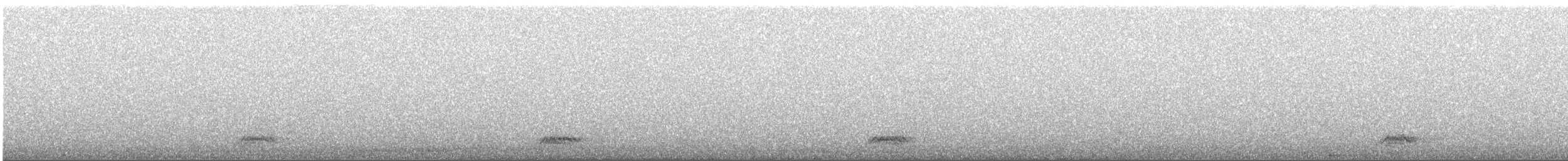 Малая белая цапля - ML558506791