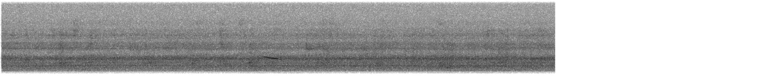 Дрізд-короткодзьоб плямистоволий - ML558520591