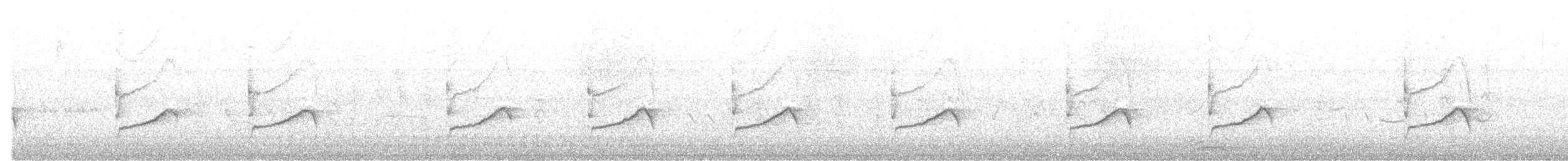 עלווית איברית - ML558543001