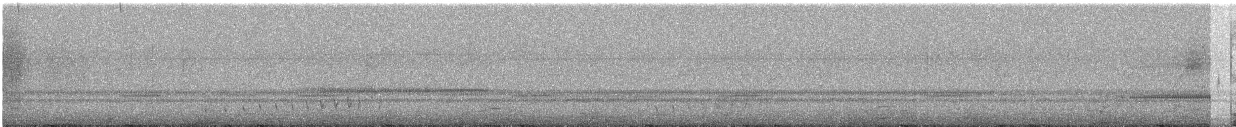 Buff-collared Nightjar - ML558548551