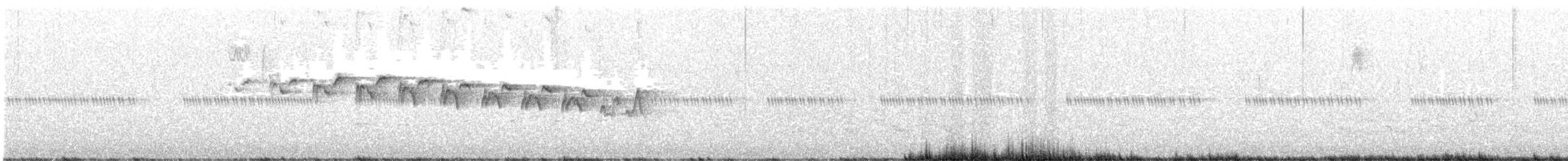 Yellow-throated Warbler - ML558559531