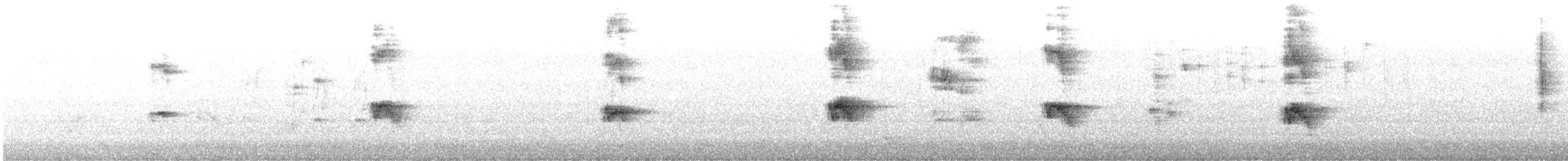 Gros-bec errant (type 4) - ML558605961