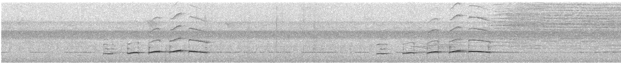 Citron-bellied Attila - ML558631281
