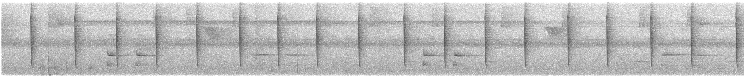 Graubrust-Degenflügel - ML558641791