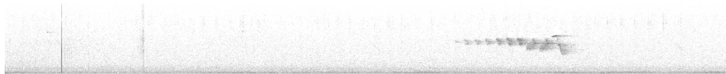Black-throated Gray Warbler - ML55865161
