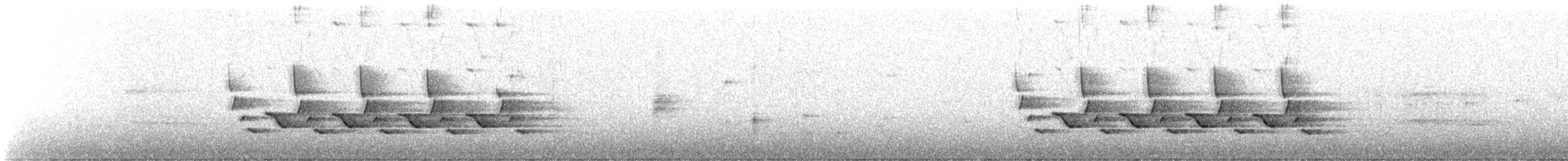 Поплітник каролінський - ML558732301
