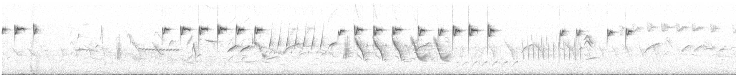 fuglekonge (inermis) - ML558764771