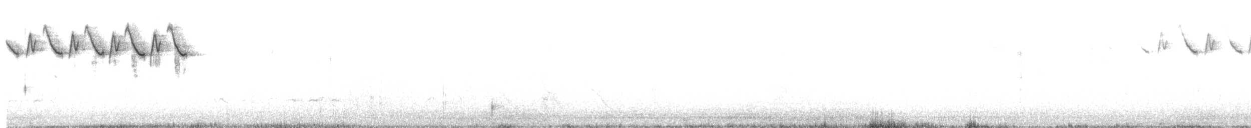 lesňáček černobílý - ML558769911