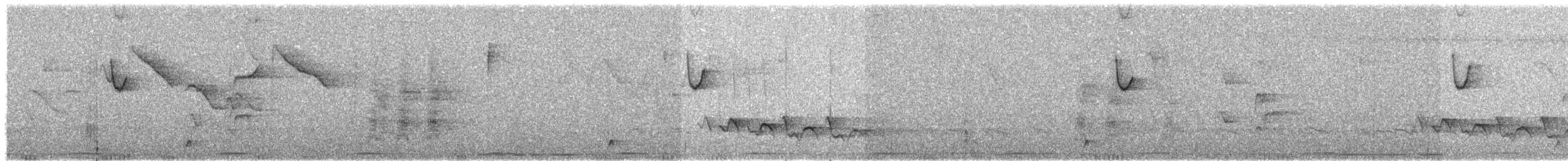 Солнечный колибри-отшельник - ML558782011