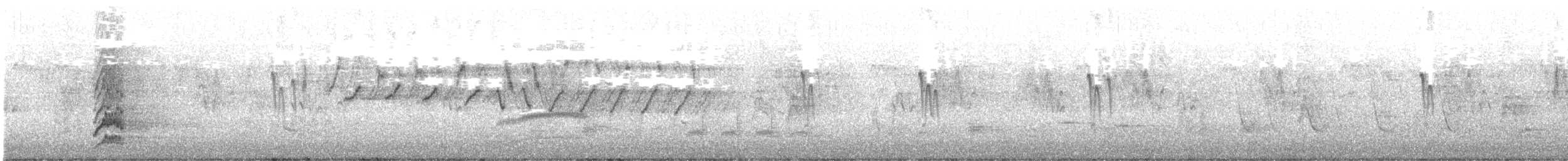 Perruche alexandre - ML558882521