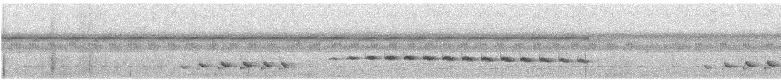 Schmalbrauen-Ameisenschnäpper - ML558940141