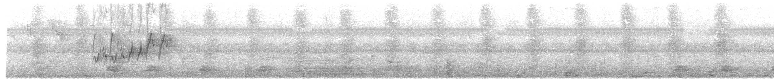 Weißbrauenstelze - ML558980011