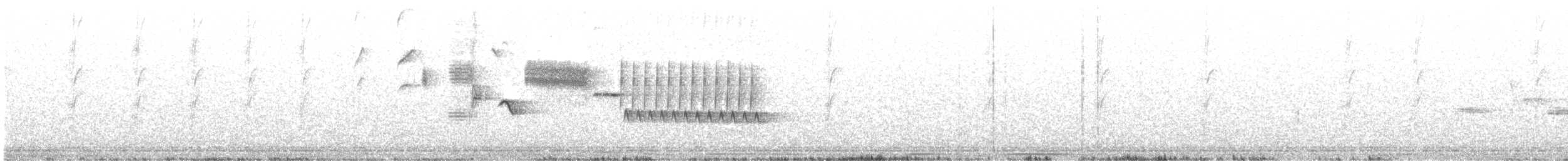 Troglodyte de Bewick - ML558982971