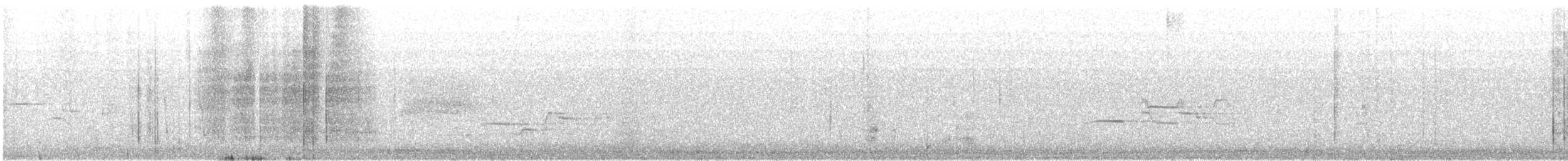 Hermit Thrush - ML559001331