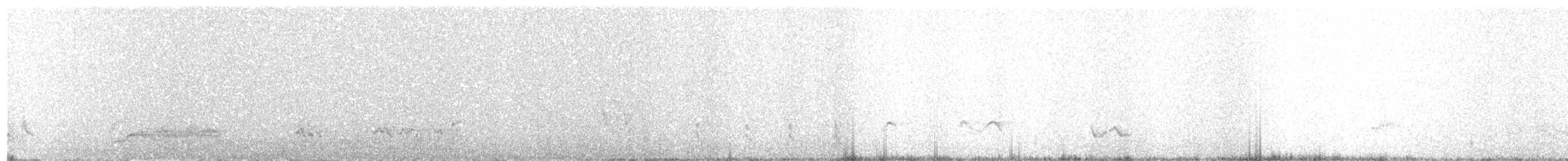 アカハラツグミモドキ - ML55906821