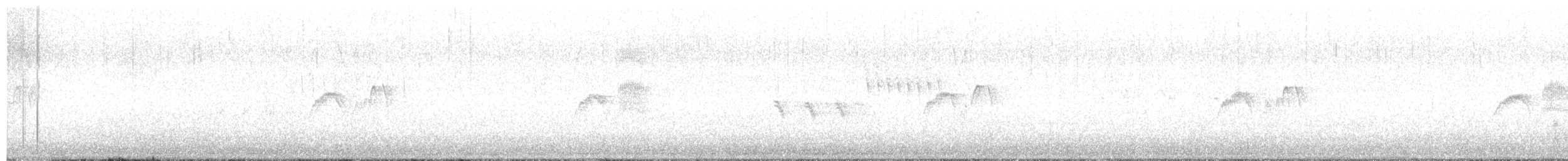 Светлобрюхий фиби - ML559116151