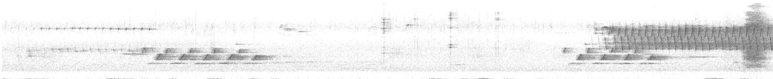 Каролинский крапивник - ML559135431