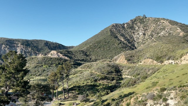 סבכון בלתי-מזוהה - ML559166891