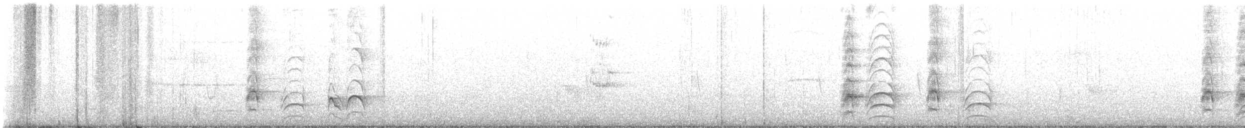 Great Kiskadee - ML559176291