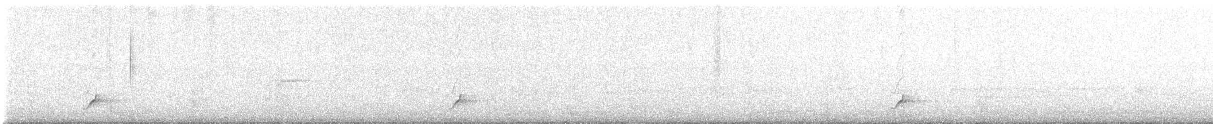 シロハラオオヒタキモドキ - ML559178811