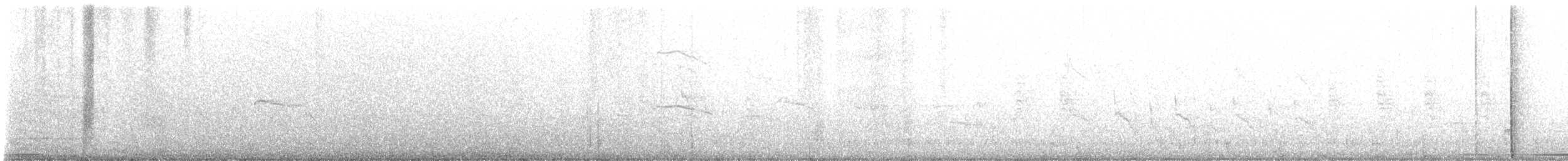 White-tipped Dove - ML559179171