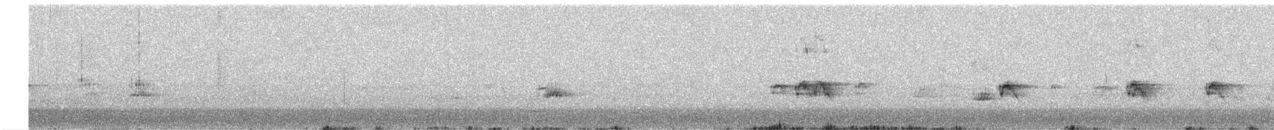 Steller's Jay - ML559207601