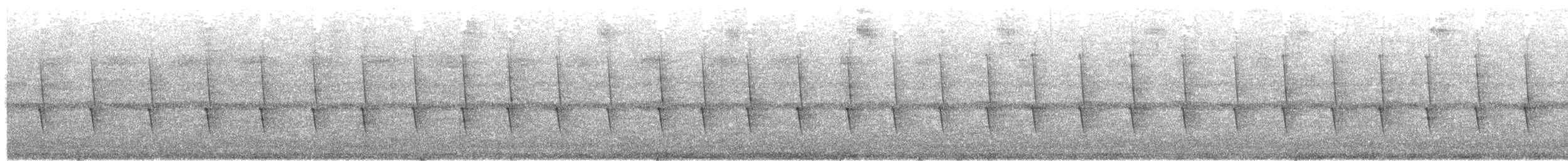 gråsabelvinge - ML559223561