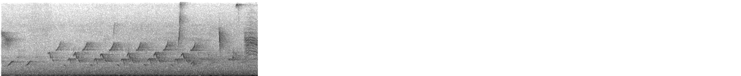 Troglodyte de Caroline - ML559257741