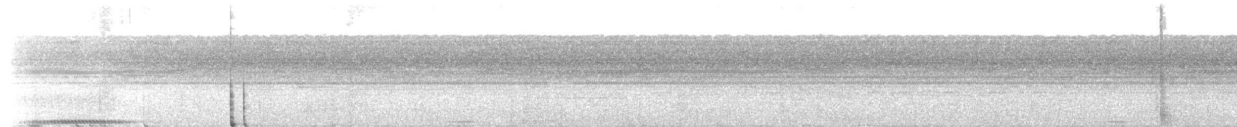 カンムリズク - ML559264881