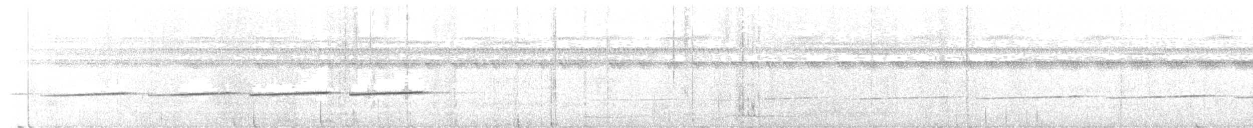 Grisin sanglé - ML559266291