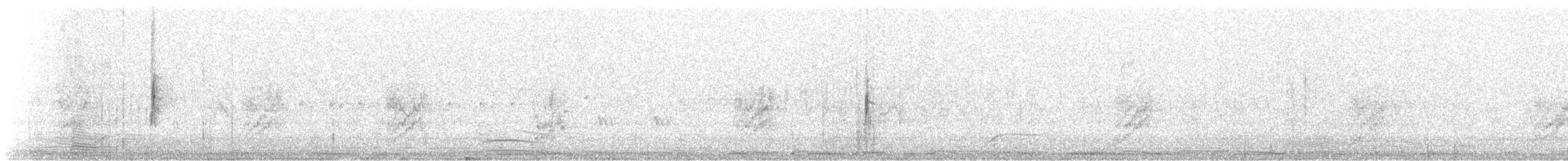 Paruline à croupion jaune (auduboni) - ML559308751