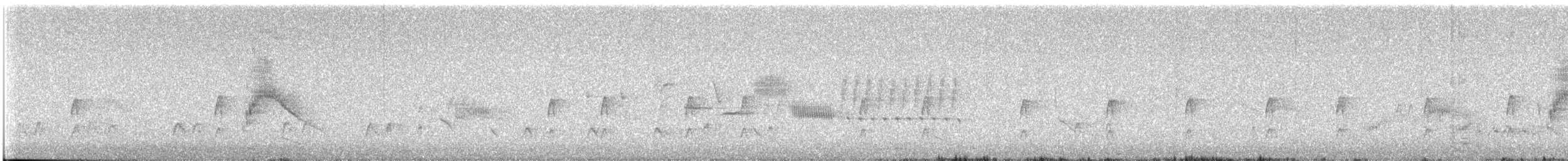 Couch's Kingbird - ML559325161