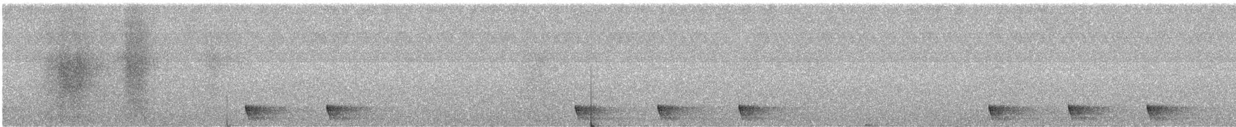 Large-tailed Nightjar - ML559329291